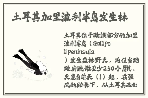 **动漫在线播放观看